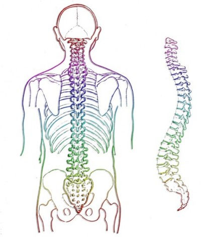 Spine image for structural rebalancing